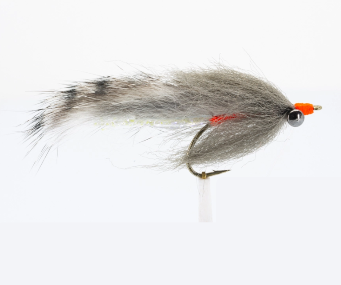 SciFlies Largie Brush Fly
