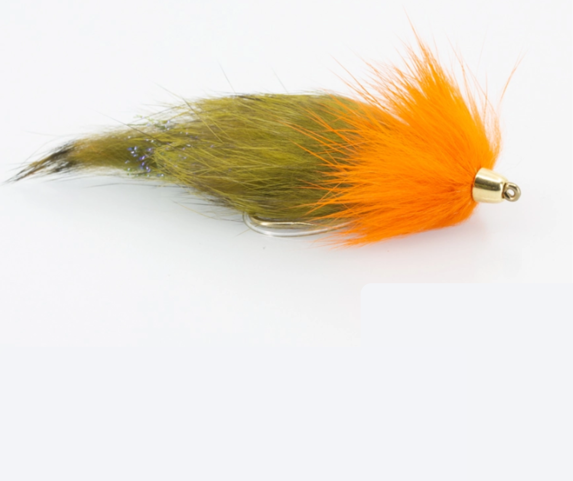 SciFlies Largie Leech