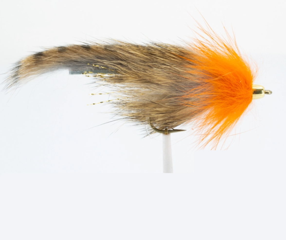 SciFlies Largie Leech