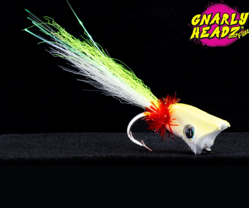 Gnarly Headz Equalizer #2/0
