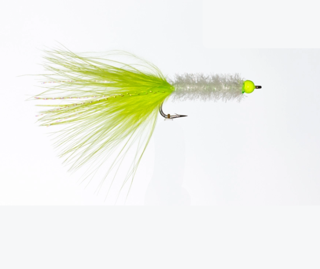 SciFlies Salty Bugger #6