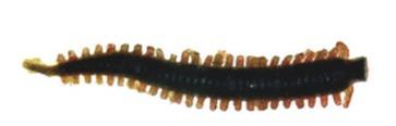Berkley GULP!® Saltwater Sandworms 2inch