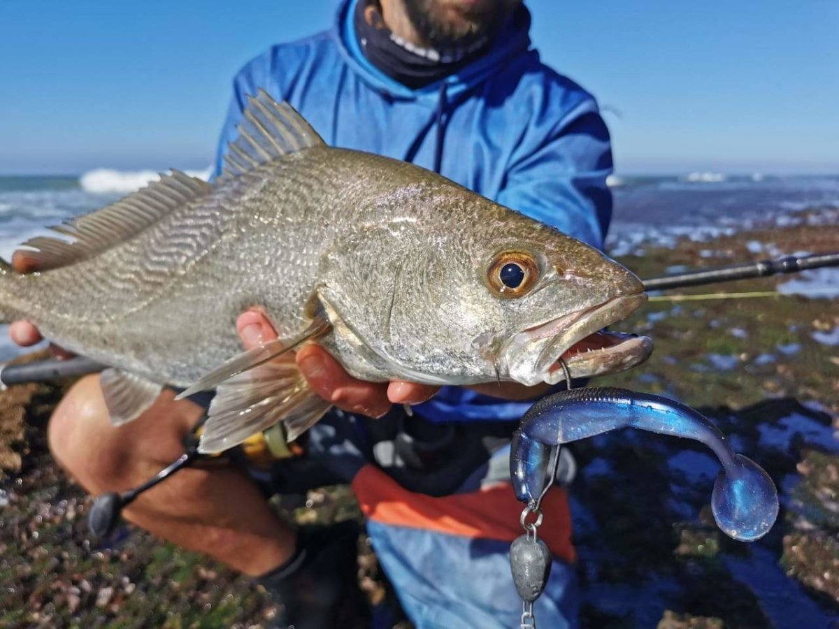 Mad Mullet Weedless Jig Heads (2 per pack)