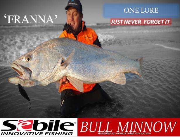 Sebile Bull Minnow Rocket